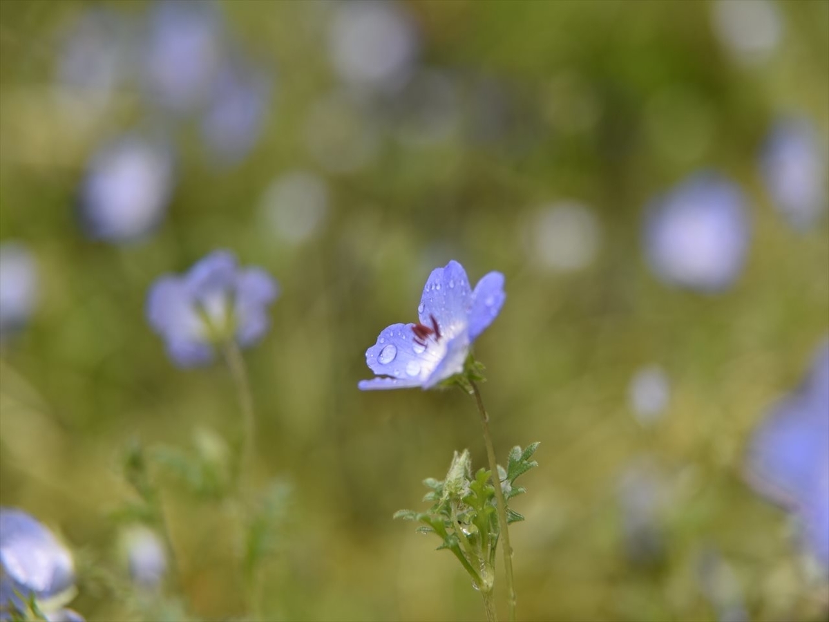 f:id:psato7:20190623203858j:plain f:id:psato7:20190623203858j:plain