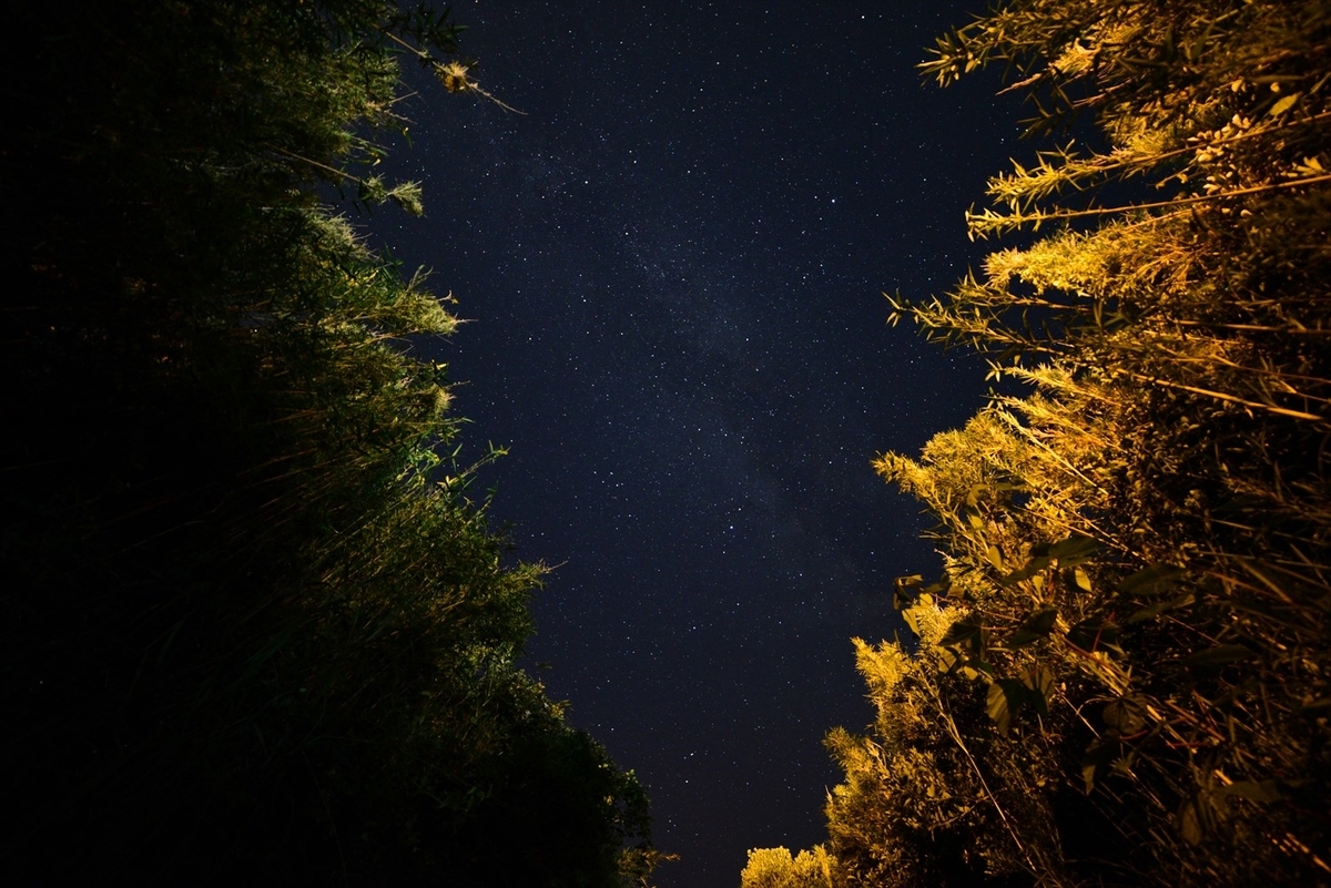 f:id:psato7:20190804173940j:plain