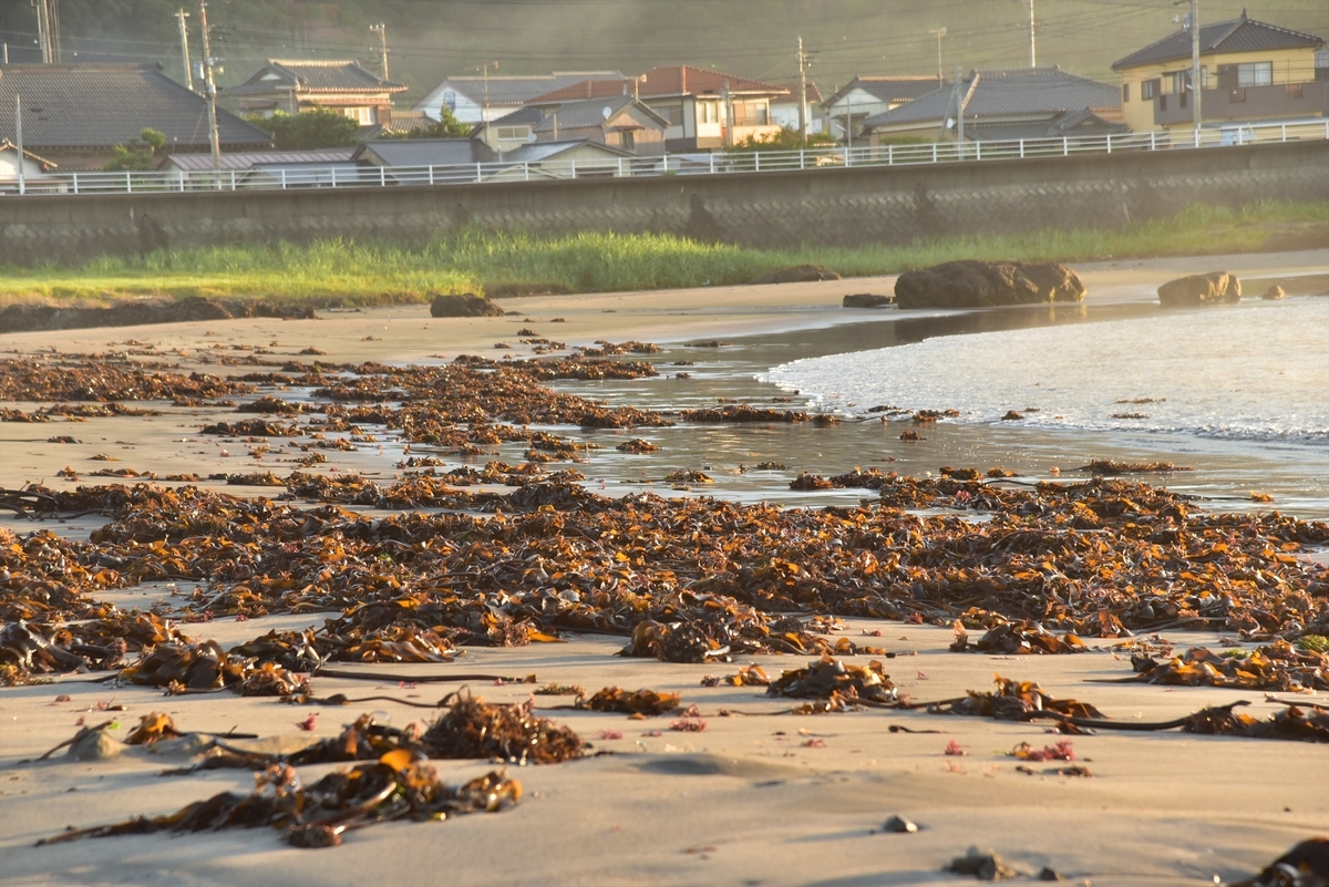 f:id:psato7:20190815071616j:plain