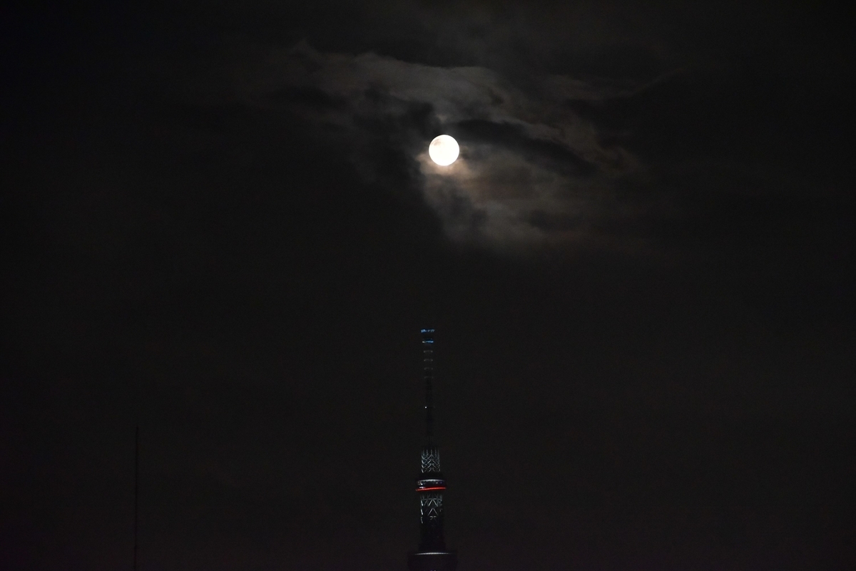 f:id:psato7:20190815205907j:plain