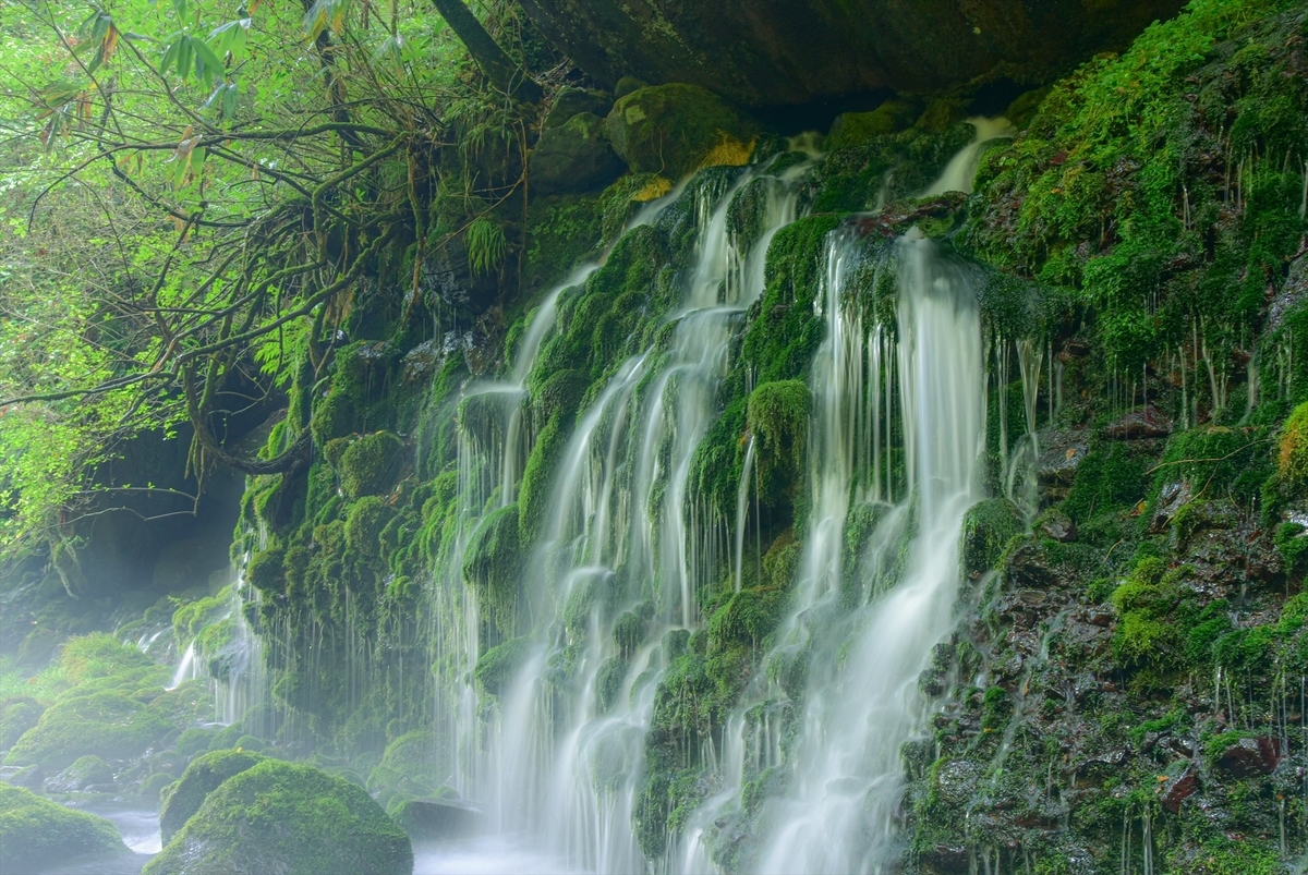 秋田 元滝伏流水（もとたきふくりゅうすい）に行ってきた - photo & hobby
