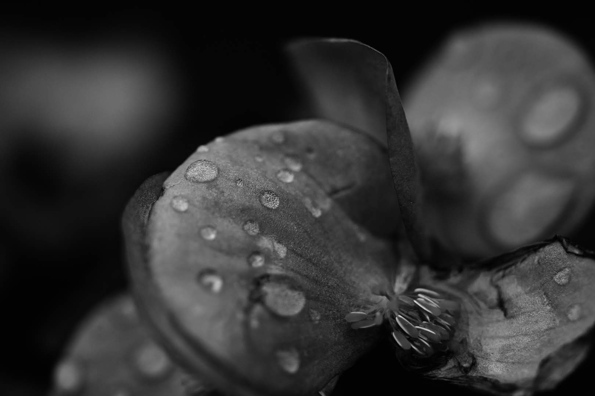 f:id:psato7:20191210220615j:plain