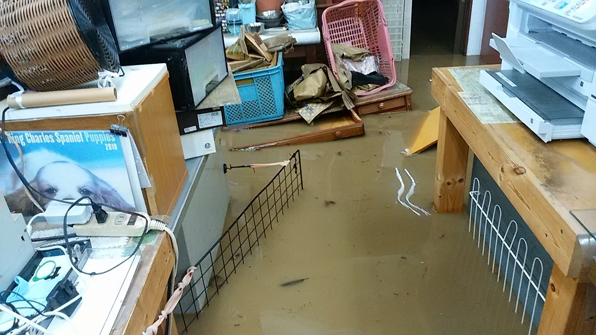 f:id:psato7:20191221135549j:plain