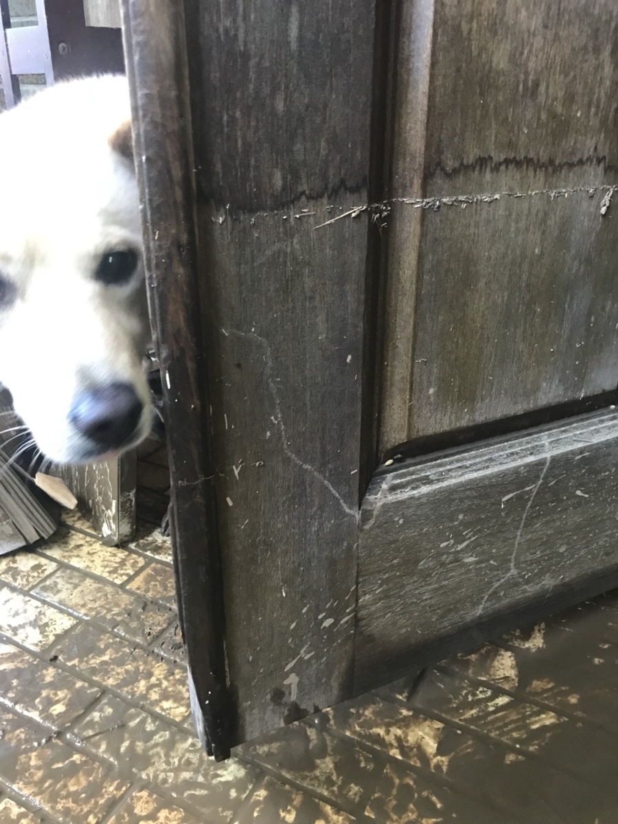 f:id:psato7:20191221143216j:plain