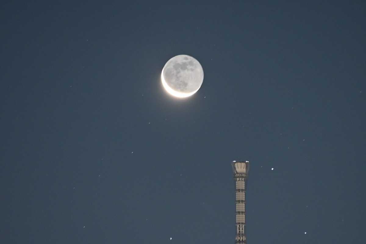 f:id:psato7:20191224210925j:plain