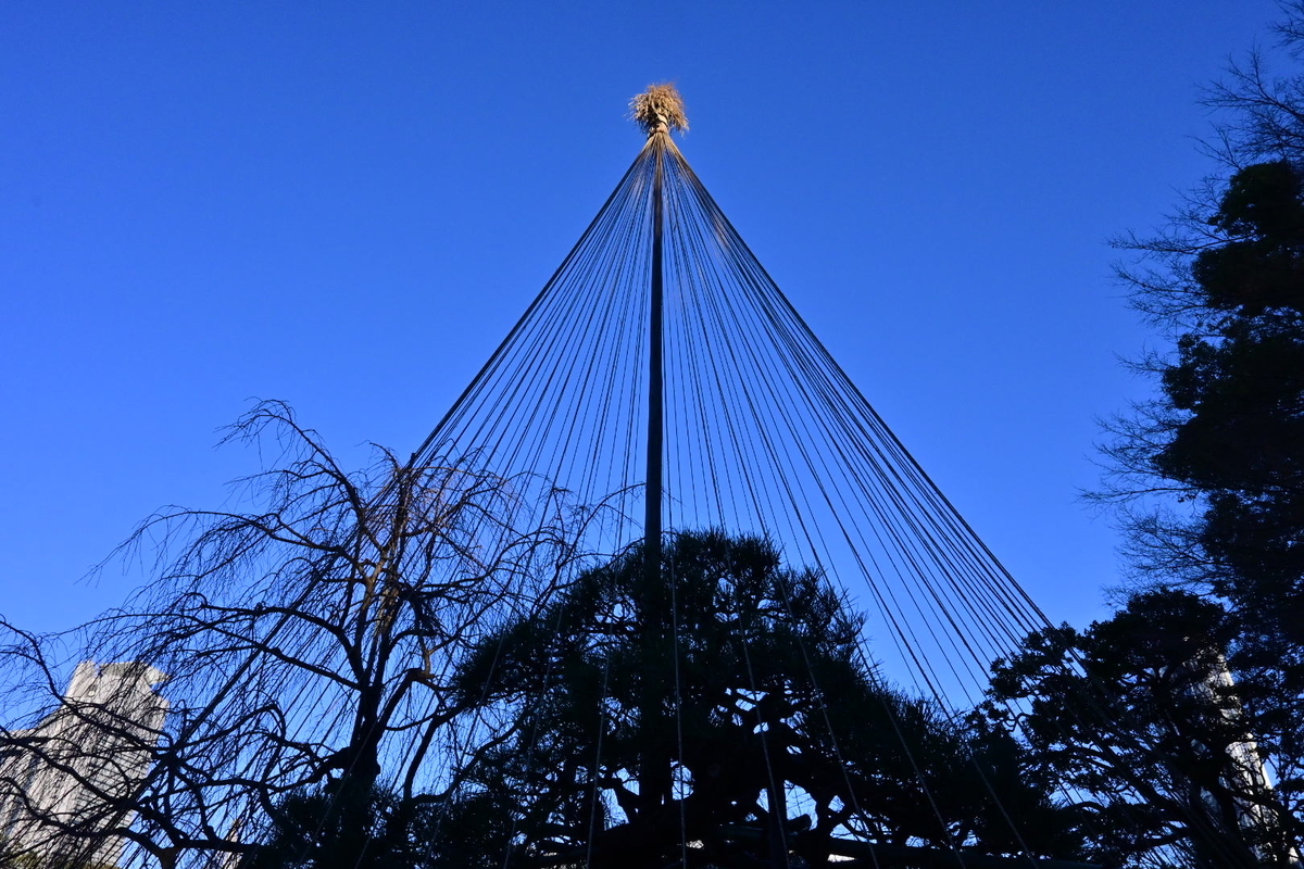 f:id:psato7:20191228153145j:plain