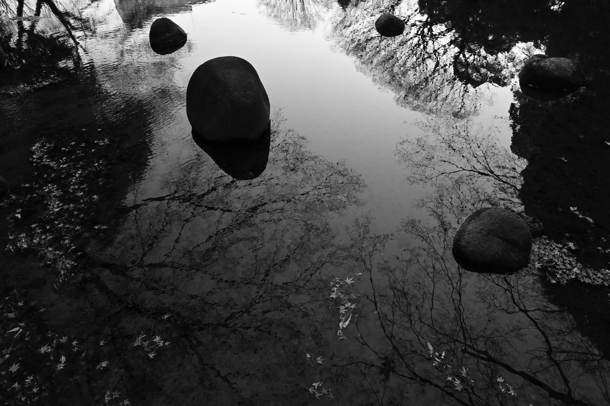 f:id:psato7:20191228153250j:plain