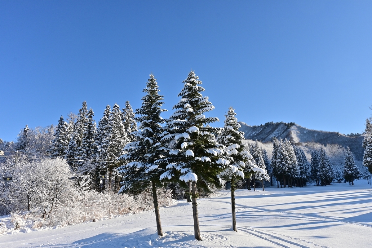 f:id:psato7:20191230210106j:plain