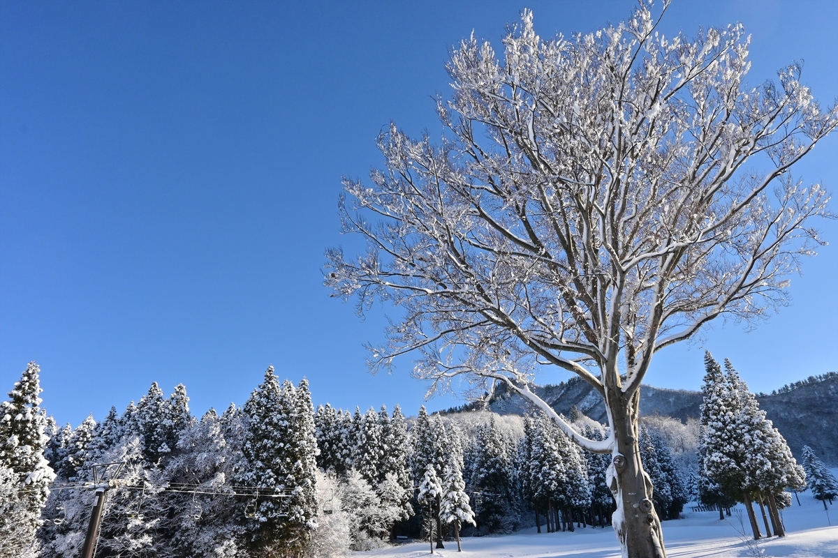 f:id:psato7:20191230210527j:plain