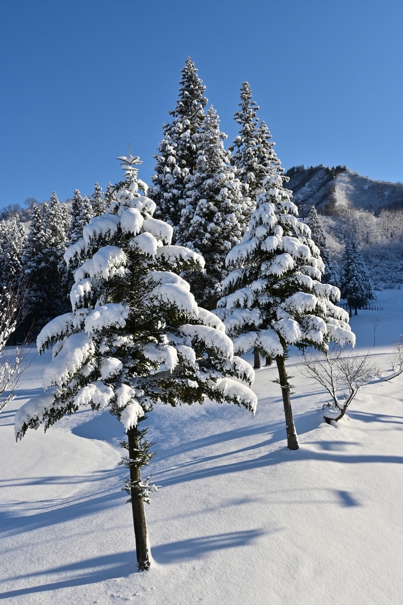 f:id:psato7:20191230210537j:plain