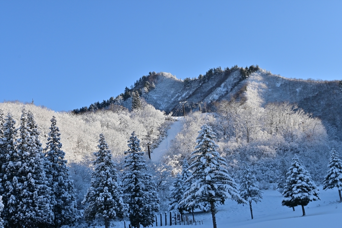 f:id:psato7:20191230212314j:plain