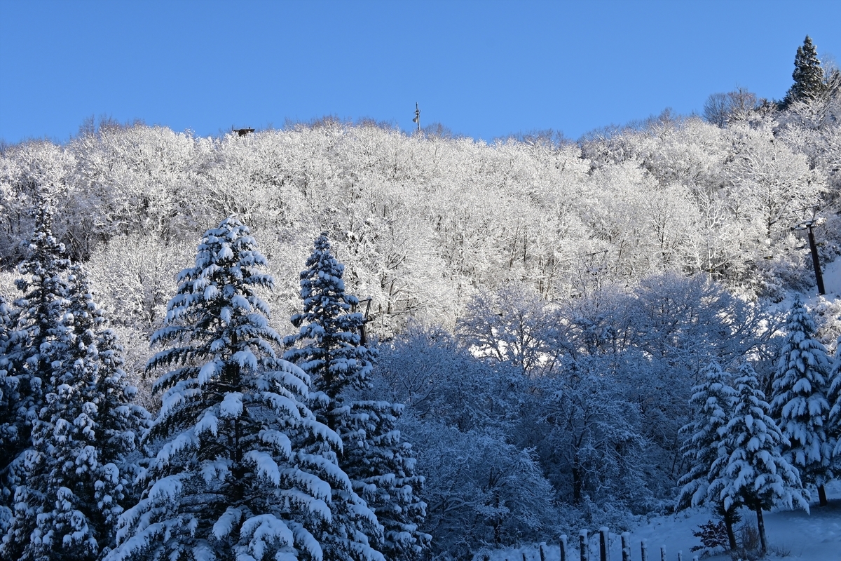 f:id:psato7:20191230212326j:plain