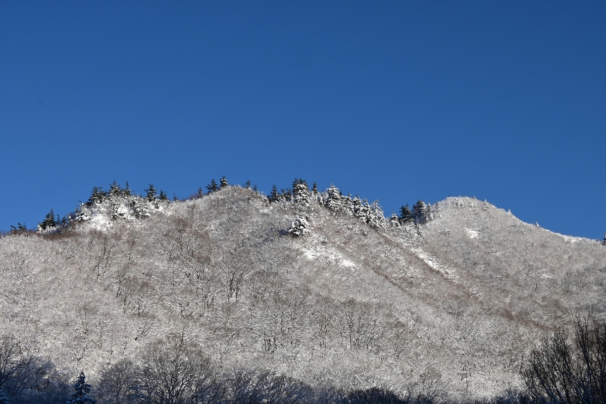 f:id:psato7:20191230212344j:plain