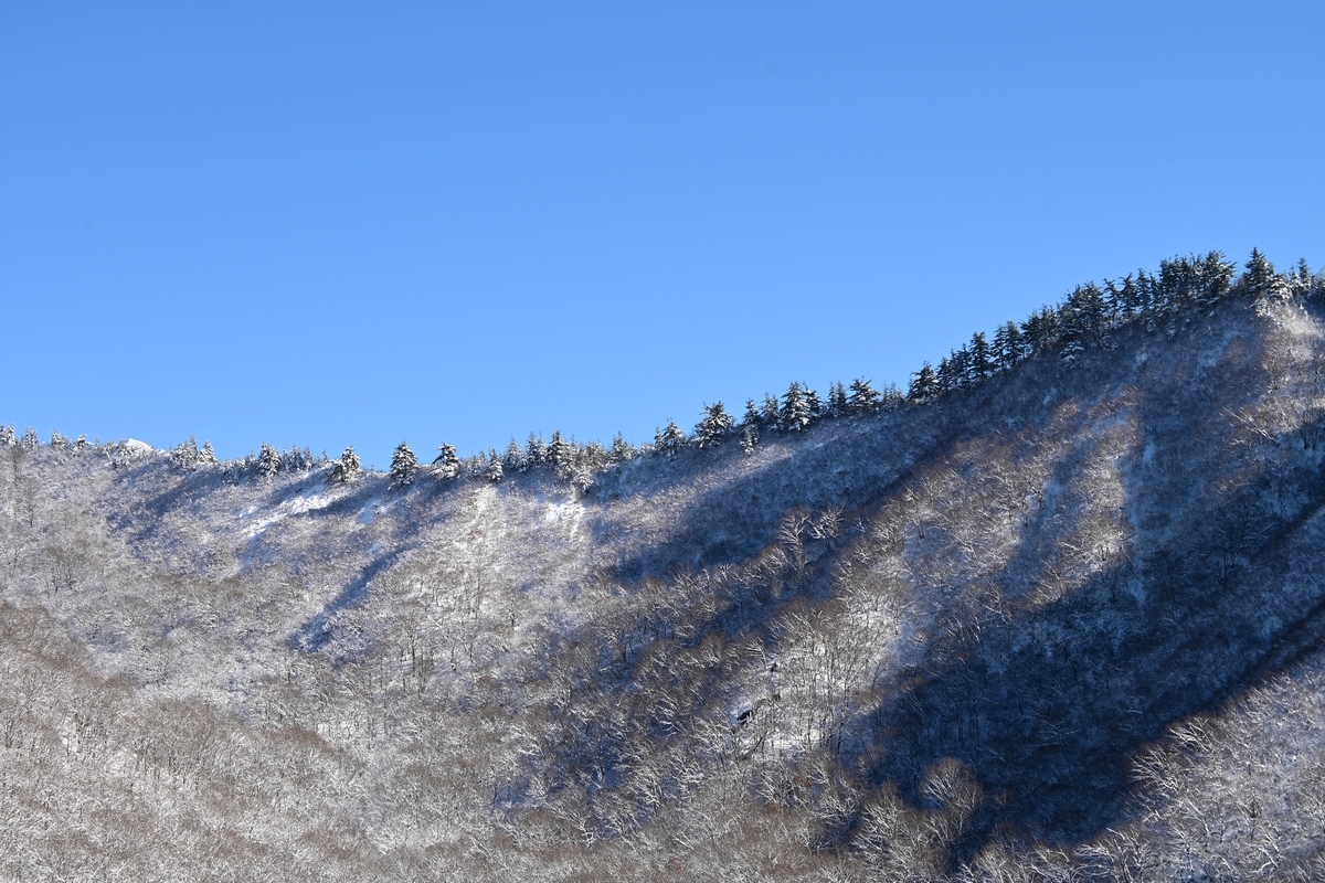 f:id:psato7:20191230213001j:plain