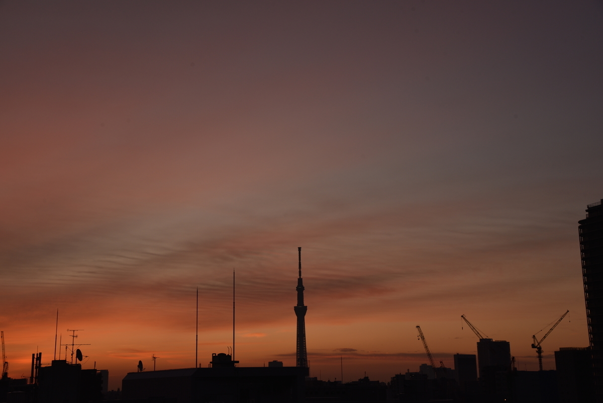 f:id:psato7:20200216203259j:plain