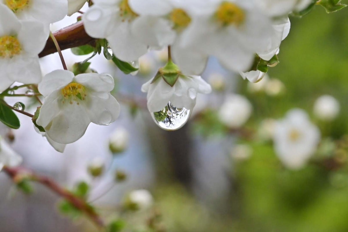 f:id:psato7:20200308144319j:plain f:id:psato7:20200308144319j:plain