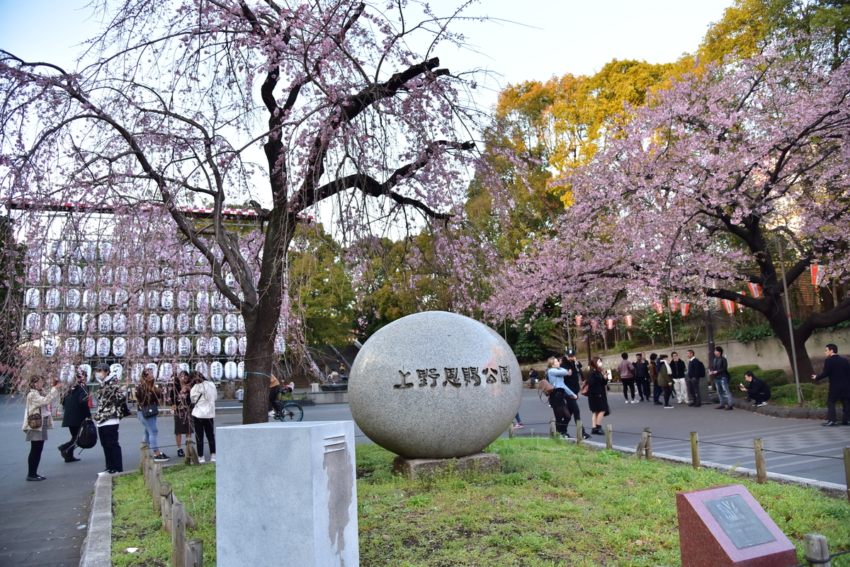 f:id:psato7:20200312171547j:plain