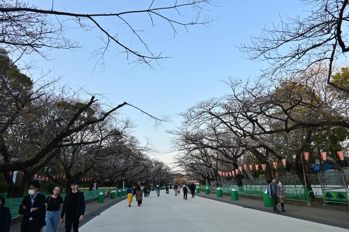 f:id:psato7:20200319212417j:plain f:id:psato7:20200319212417j:plain