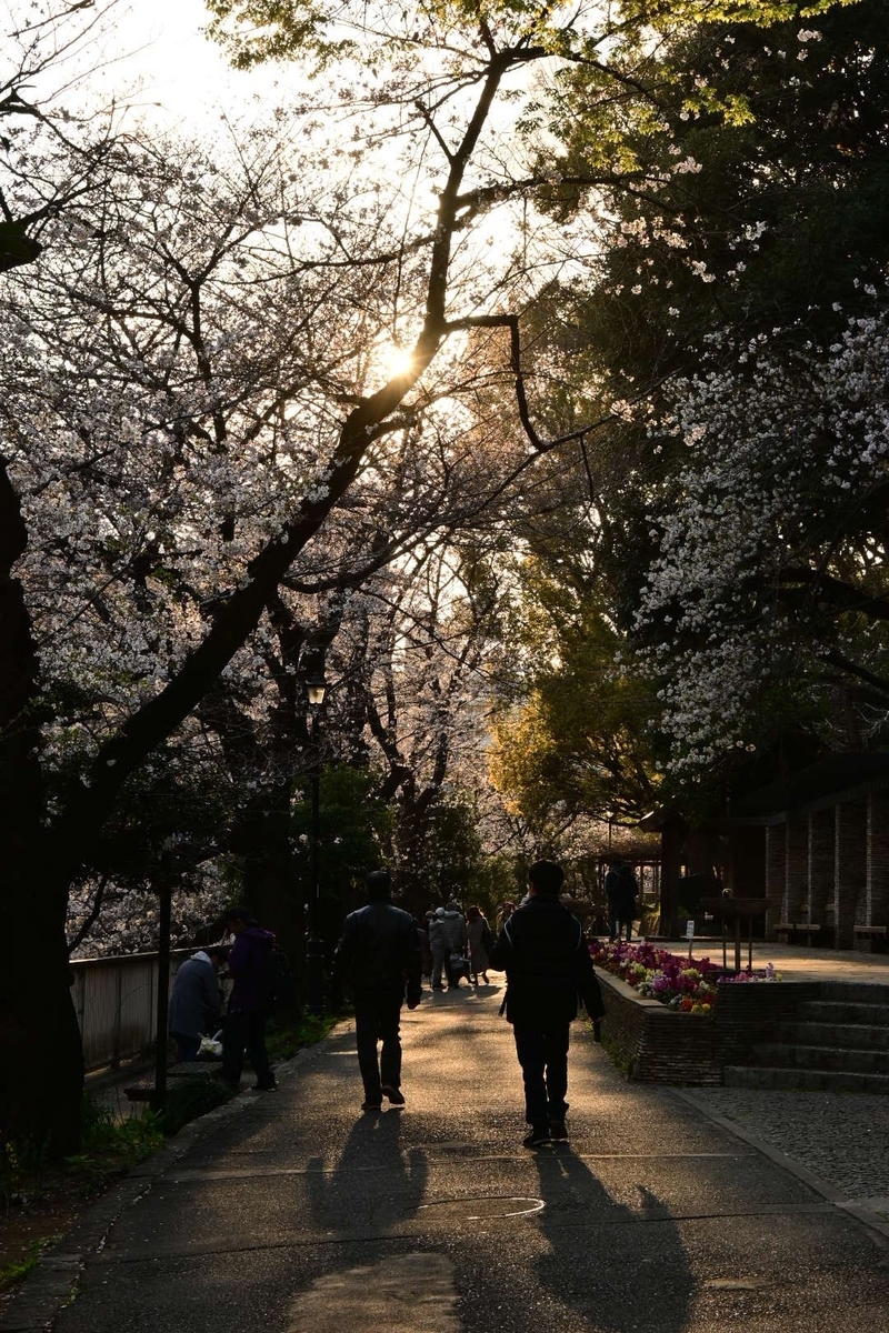 f:id:psato7:20200323210129j:plain