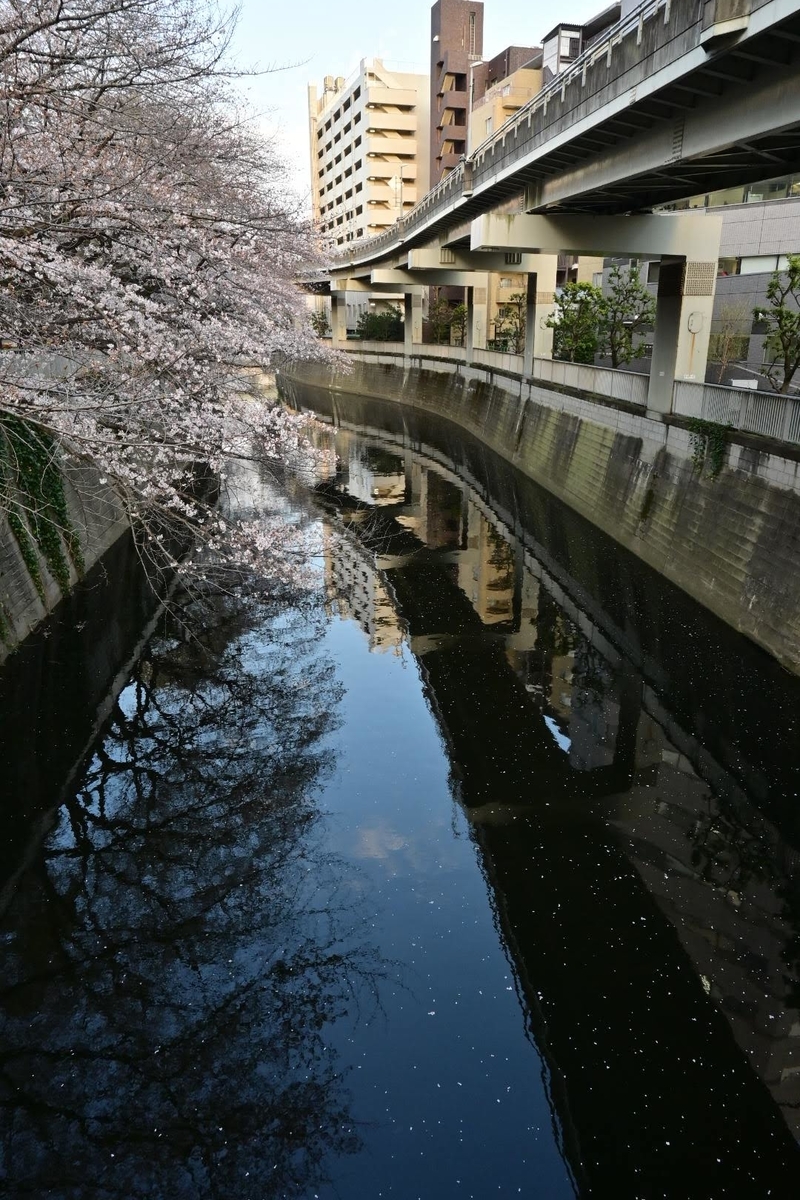 f:id:psato7:20200323210350j:plain