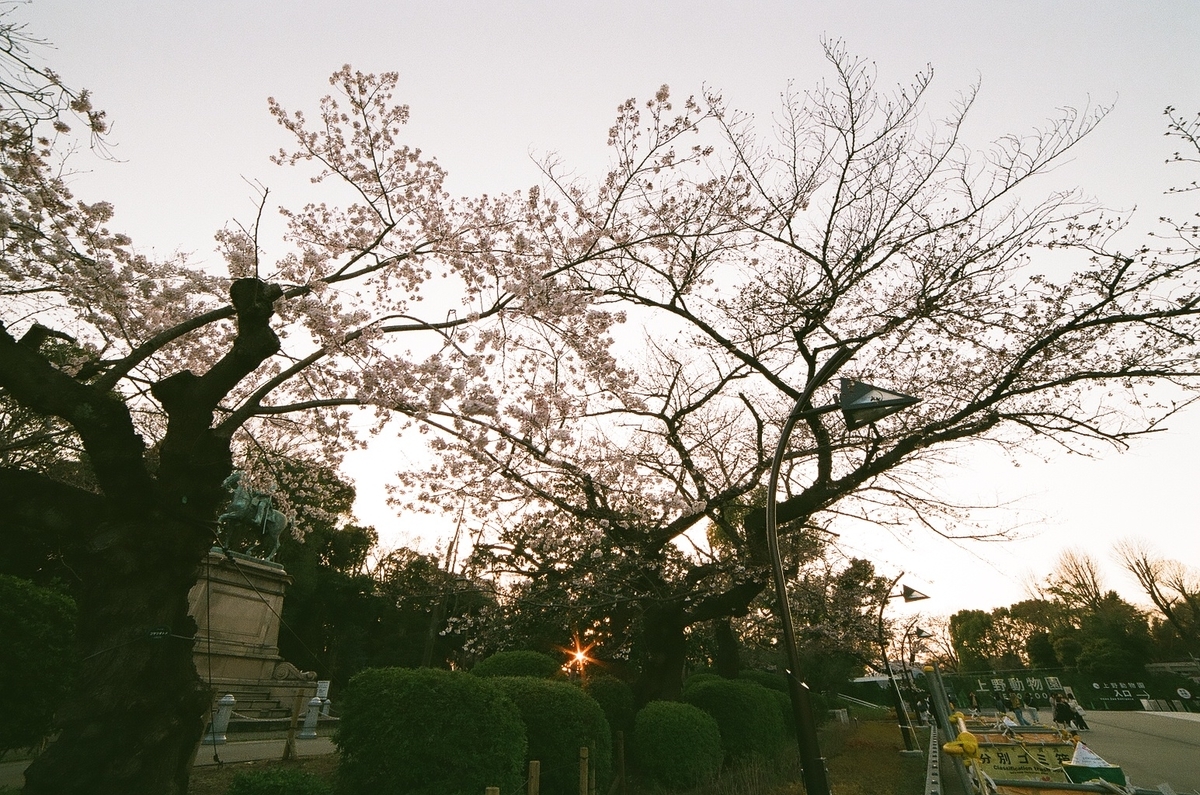 f:id:psato7:20200327085858j:plain f:id:psato7:20200327085858j:plain
