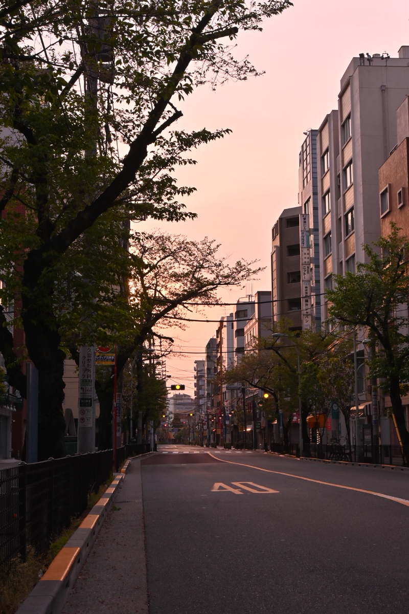 f:id:psato7:20200416200038j:plain f:id:psato7:20200416200038j:plain