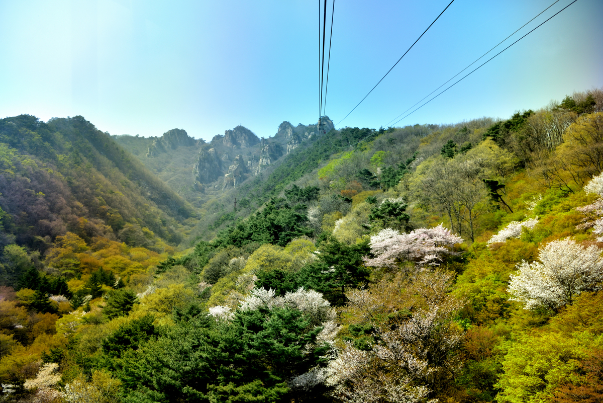 f:id:psato7:20200425202442j:plain
