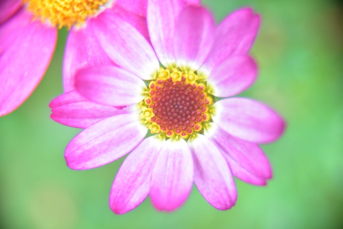 f:id:psato7:20200430104449j:plain
