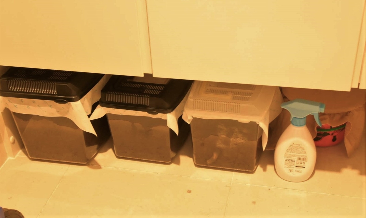 f:id:psato7:20200504193557j:plain