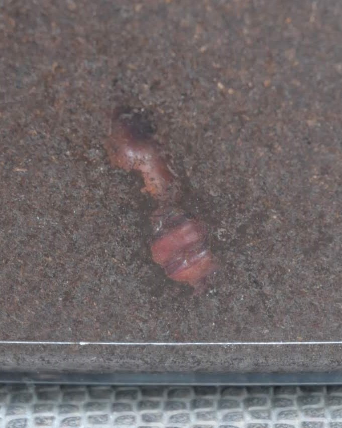 f:id:psato7:20200504193932j:plain