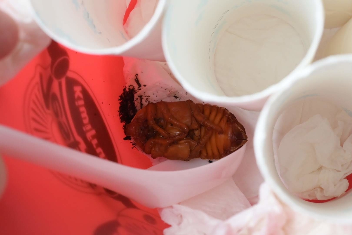 f:id:psato7:20200504194314j:plain