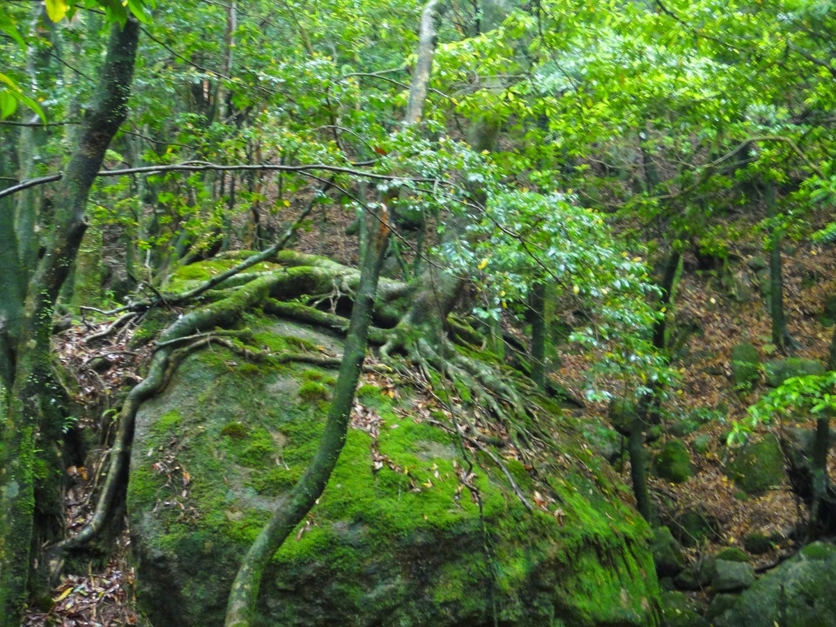 f:id:psato7:20200607212823j:plain