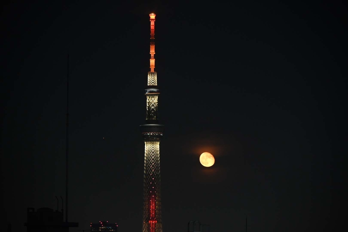f:id:psato7:20200608221103j:plain