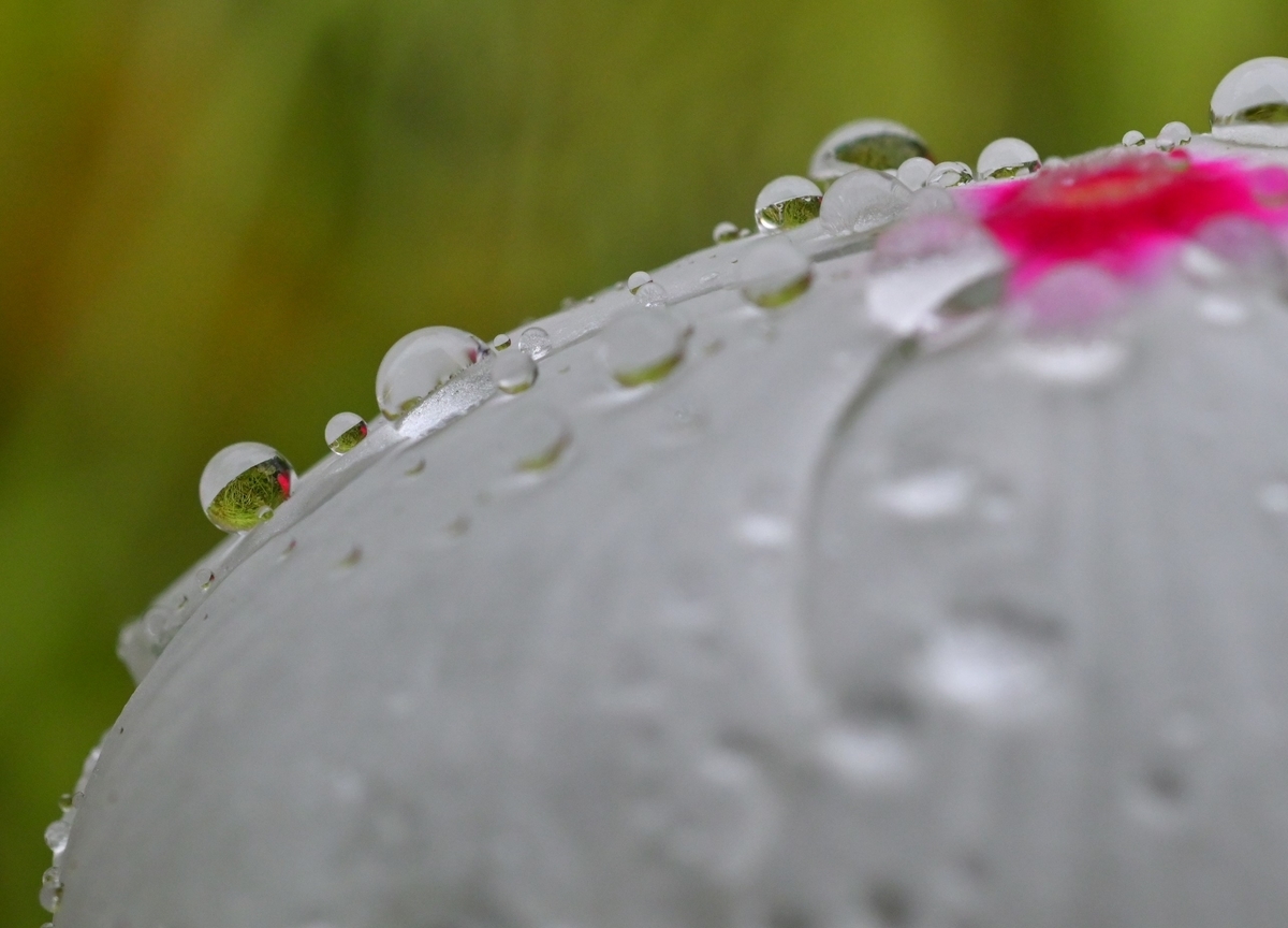 f:id:psato7:20200615213000j:plain