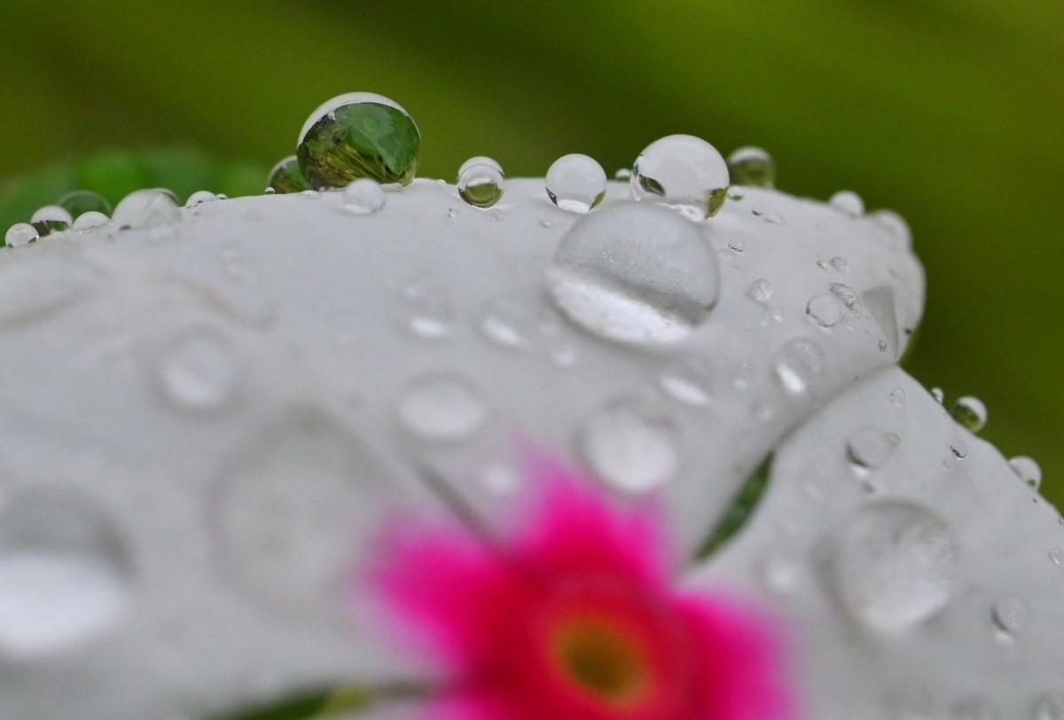 f:id:psato7:20200615213045j:plain