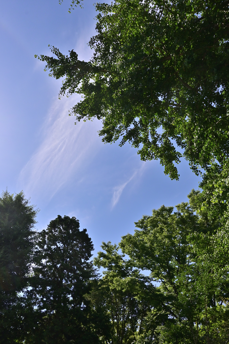 f:id:psato7:20200618201415j:plain