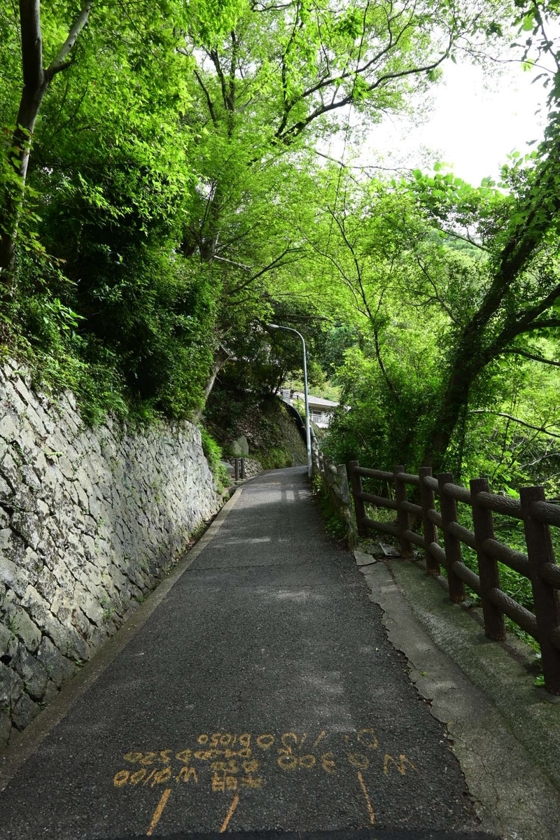 f:id:psato7:20200623055758j:plain