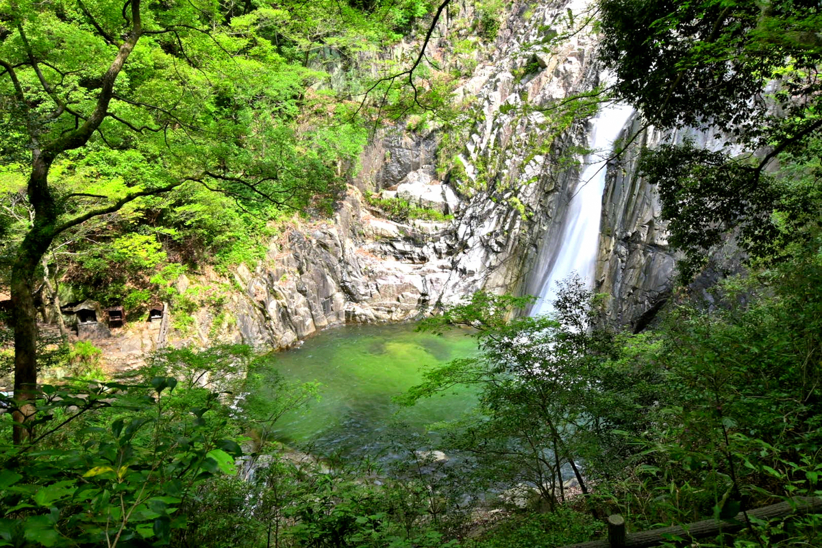 f:id:psato7:20200624201559j:plain f:id:psato7:20200624201559j:plain