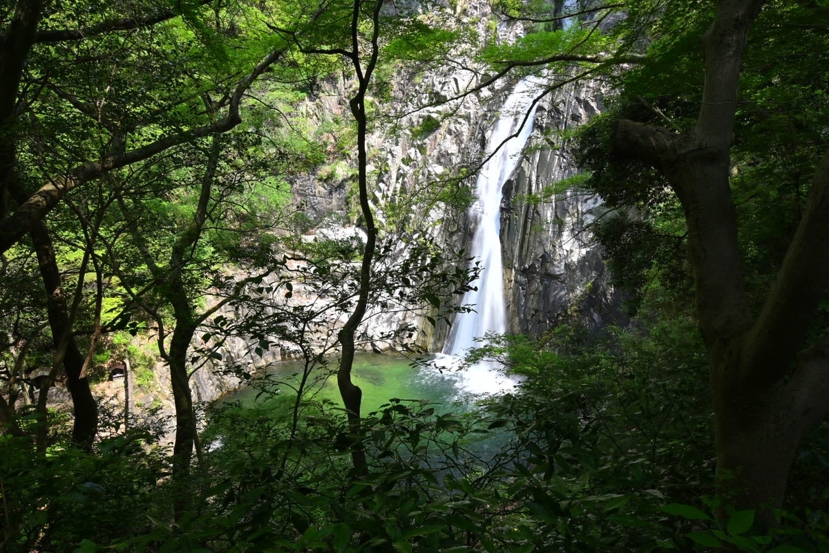 f:id:psato7:20200624210116j:plain f:id:psato7:20200624210116j:plain