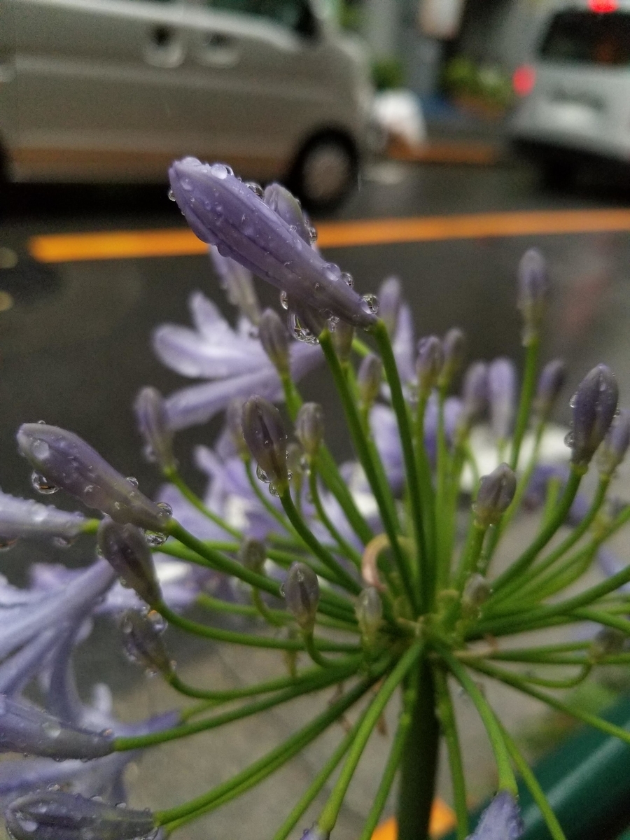 f:id:psato7:20200625202653j:plain