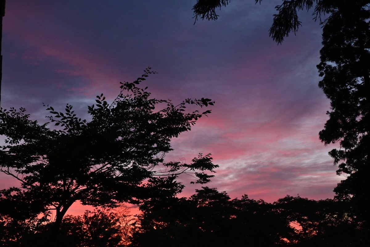 f:id:psato7:20200704122926j:plain