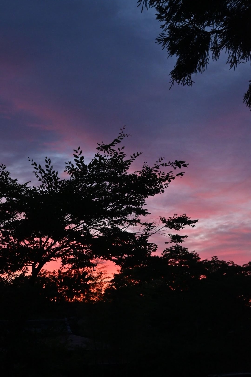 f:id:psato7:20200705050201j:plain