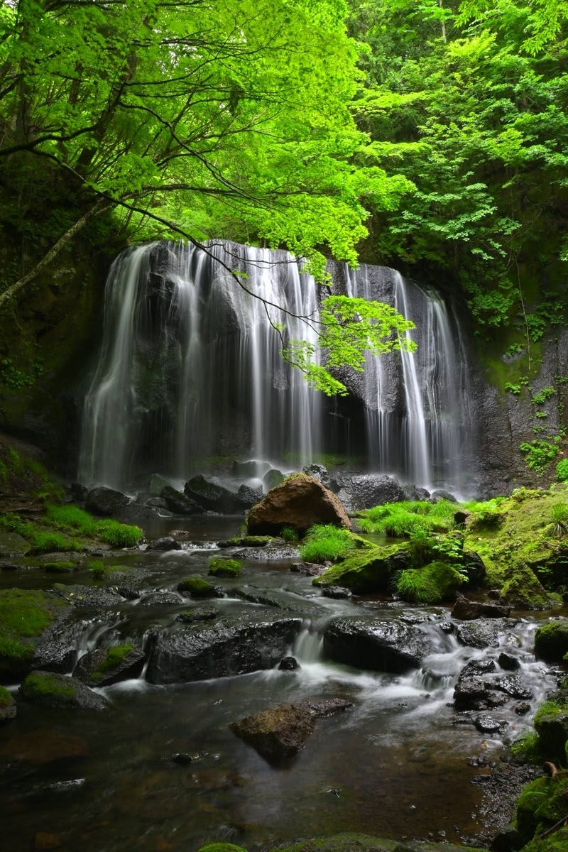 f:id:psato7:20200714075154j:plain f:id:psato7:20200714075154j:plain