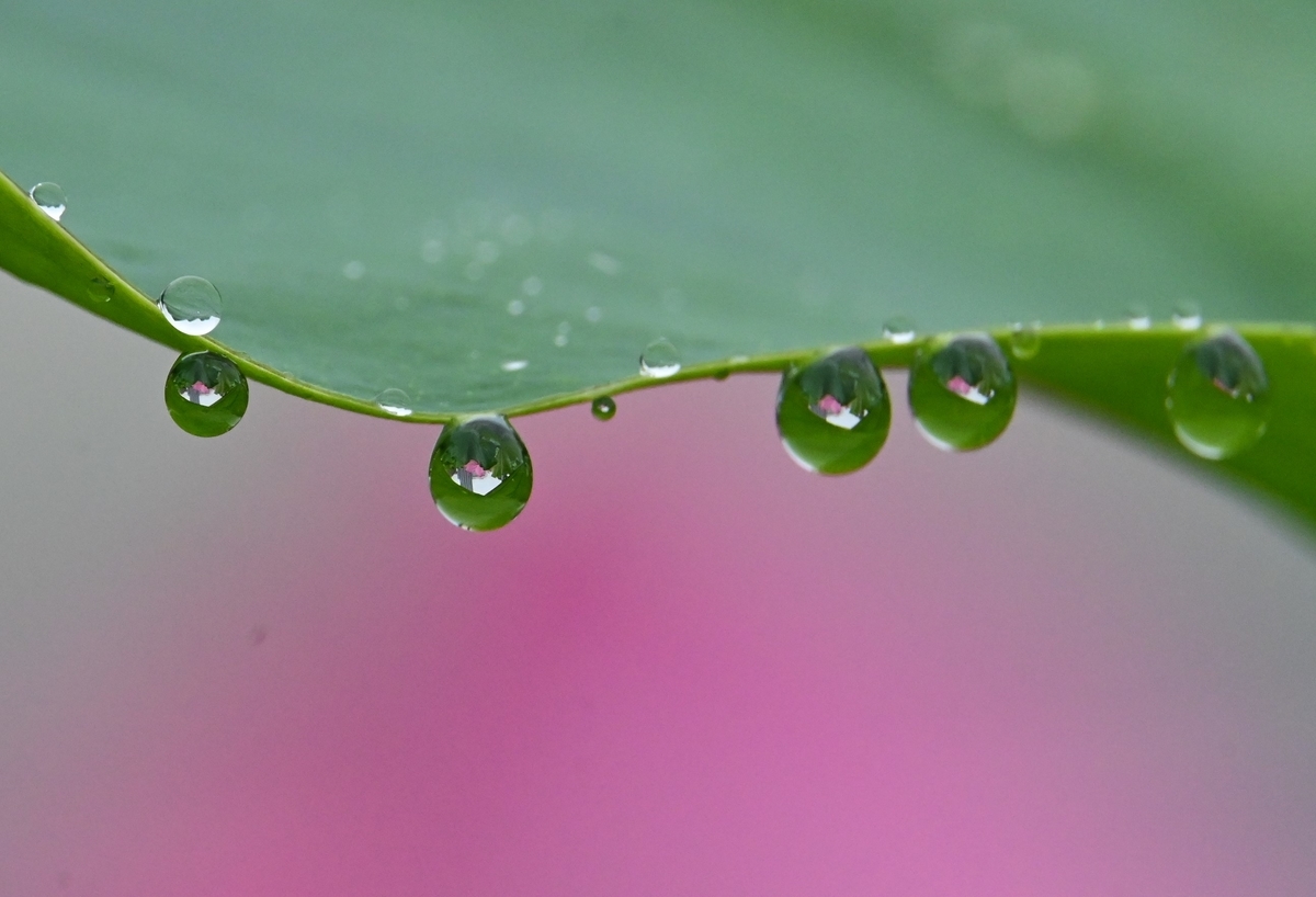 f:id:psato7:20200723162440j:plain