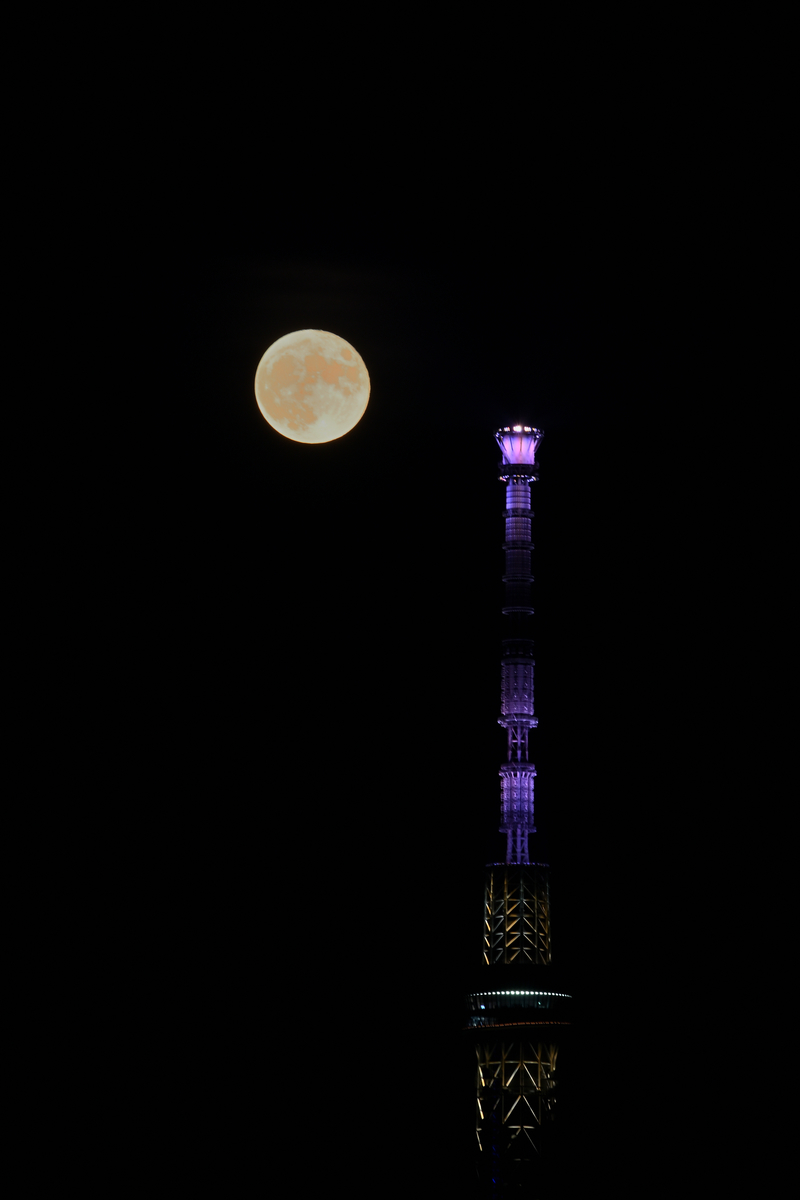 f:id:psato7:20200804215723j:plain