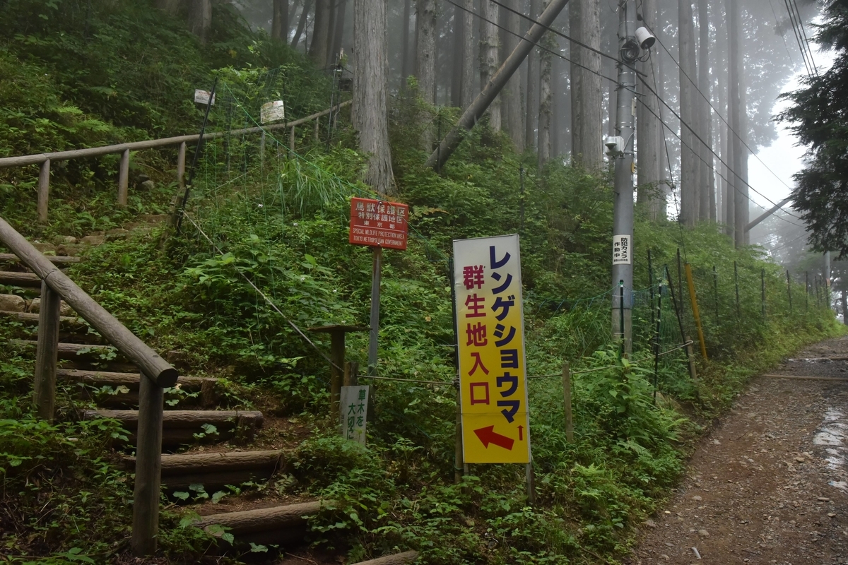 f:id:psato7:20200809070048j:plain f:id:psato7:20200809070048j:plain