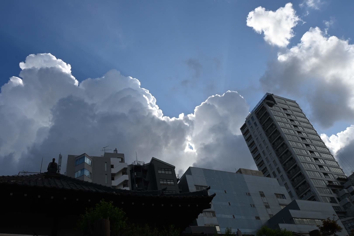 f:id:psato7:20200828210516j:plain