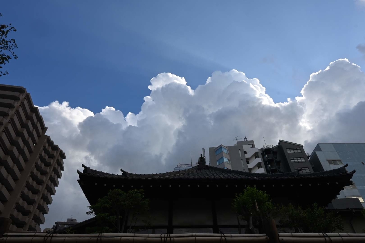 f:id:psato7:20200828210520j:plain