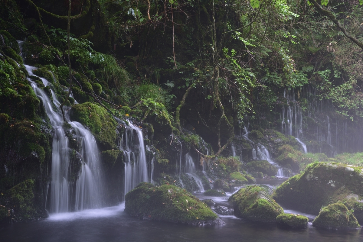 f:id:psato7:20200904072924j:plain