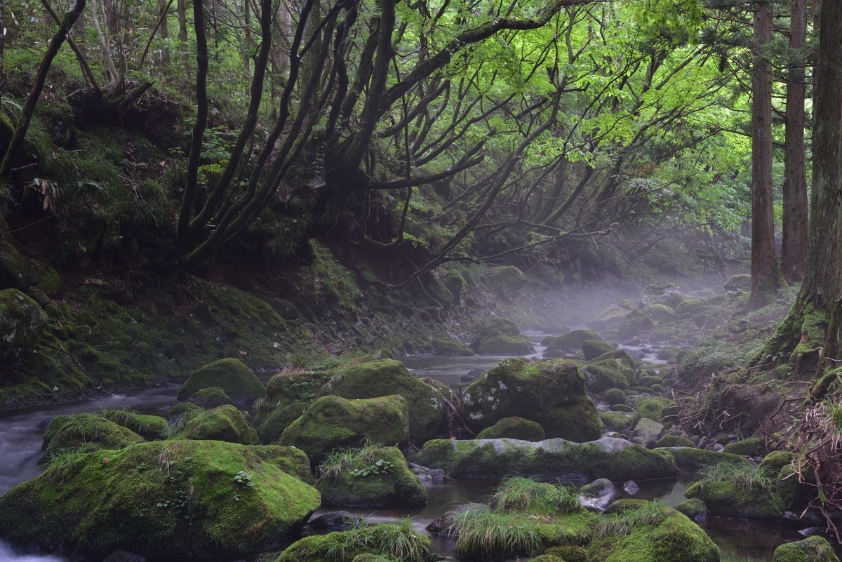 f:id:psato7:20200904073422j:plain